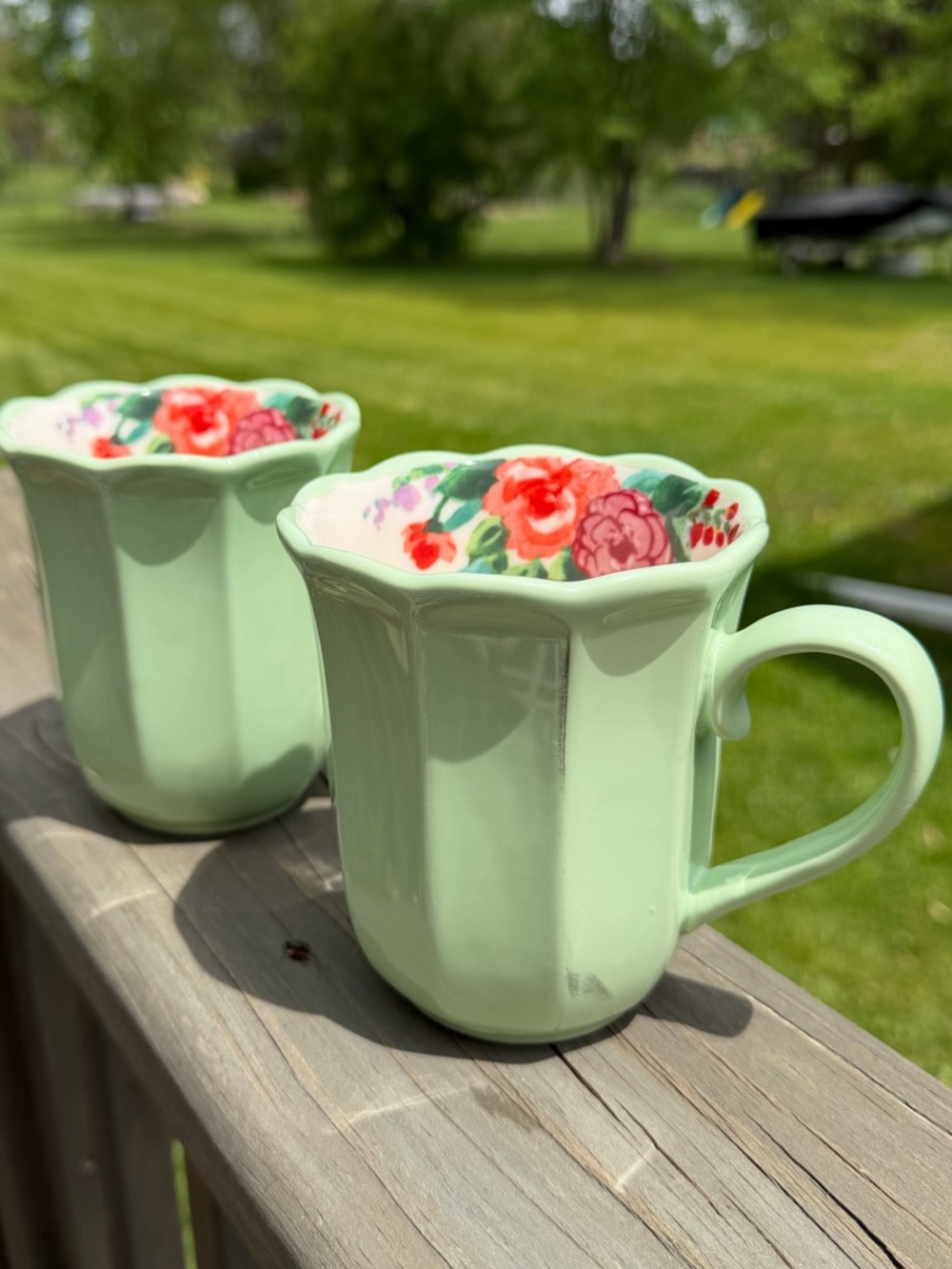 Pioneer Woman Painted Meadow Coffee Mugs Coffee Tea Cup Floral Green 15oz Gift